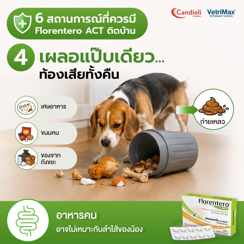 Florentero ACT 6 สถานการณ์_P 4.jpg